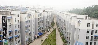 ���Ű��÷�